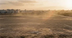 Afrika-Cup Wettanbieter 2026: Vergleich der GGL-lizenzierten Buchmacher